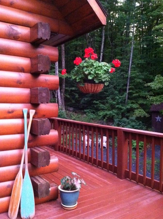 The Catskill Cabin Elka Park 外观 照片